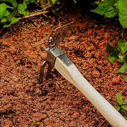 ‼️ゴールデンウィークセール‼️ GARDENtsu★tsuポット発送1328 Cancer 8 Person Camping Tent – Thous Winds