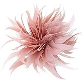 JAGTRADE Feather Pin Fashion Scarf Buckle Brooch Clip Christmas Lapel Pin Brooch Jewelry Feather Flower Badge Pin for Women Girl