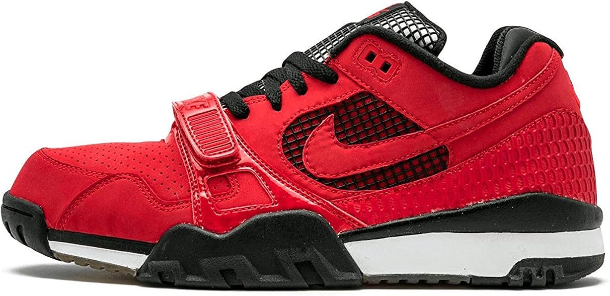 nike air trainer 2 sb