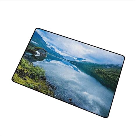 Amazon Com Sillgt Nature Pet Doormat Landscape Photography With
