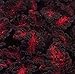 Black Dragon Coleus 40 Seeds