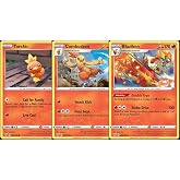 Blaziken 024/189 - Darkness Ablaze - Pokemon Evolution 3 Card Lot