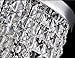 Surpars House Flush Mount 1-Light Crystal Chandelier Silver Pendant Light