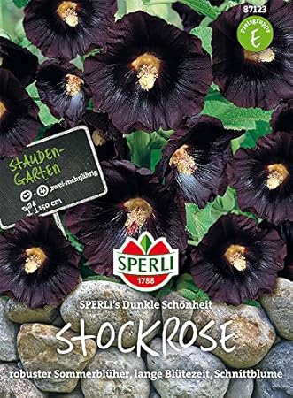 Sperli Stockrosen Sperli´s Dunkle Schönheit | mehrjährig | schnellwachsend | Päckchen Saatgut