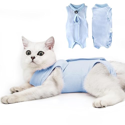 Kitten Male Cat Licking After Neuter Cat Recovery Suit For Male - Main Image