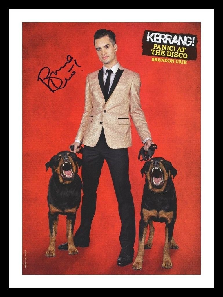 Brendon Urie - Panic At The Disco Signed Autographed 21cm x 29.7cm A4 And Framed Poster Photo