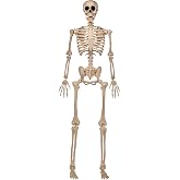 JOYIN 5 FT Halloween Skeleton Life Size, Stayable Posable Skeleton Decor, Full Body Movable Joints Giant Skeletons for Halloween Decoration Outdoor, Haunted House Prop, Spooky Scary Graveyard Party