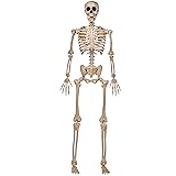 JOYIN 5 FT Halloween Skeleton Life Size, Stayable