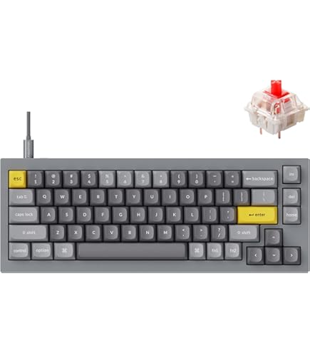 Amazon.com: Keychron Q2 Wired Custom Mechanical Keyboard, QMK/VIA