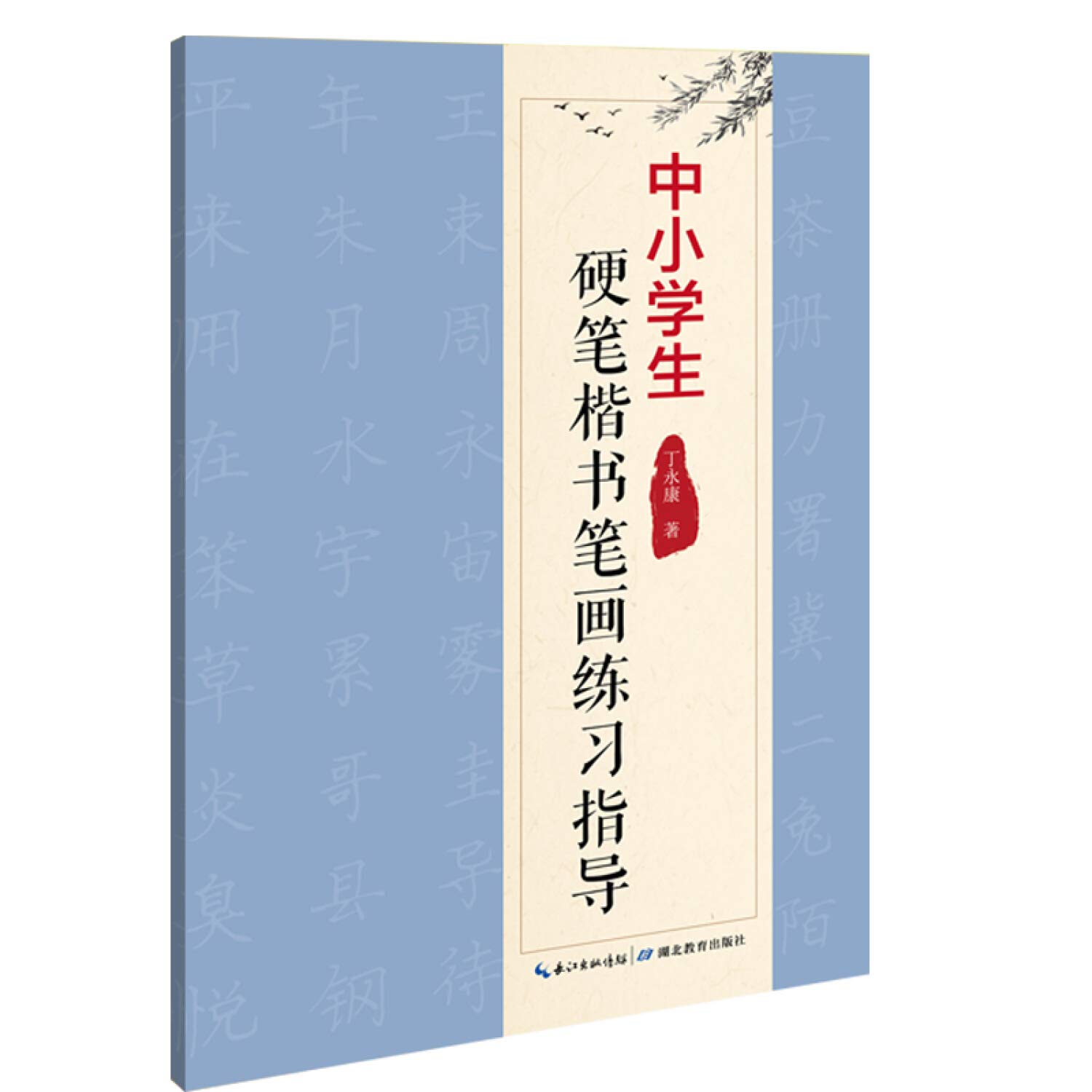 中小学生硬笔楷书笔画练习指导 丁永康 Amazon Com Books