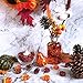 60 Pcs Mini Acrylic Pumpkin Embellishments Fall Decorations Vase Fillers Table Scatter Acrylic Display Ornaments Bowl Filler Fall, Autumn and Thanksgiving Décor