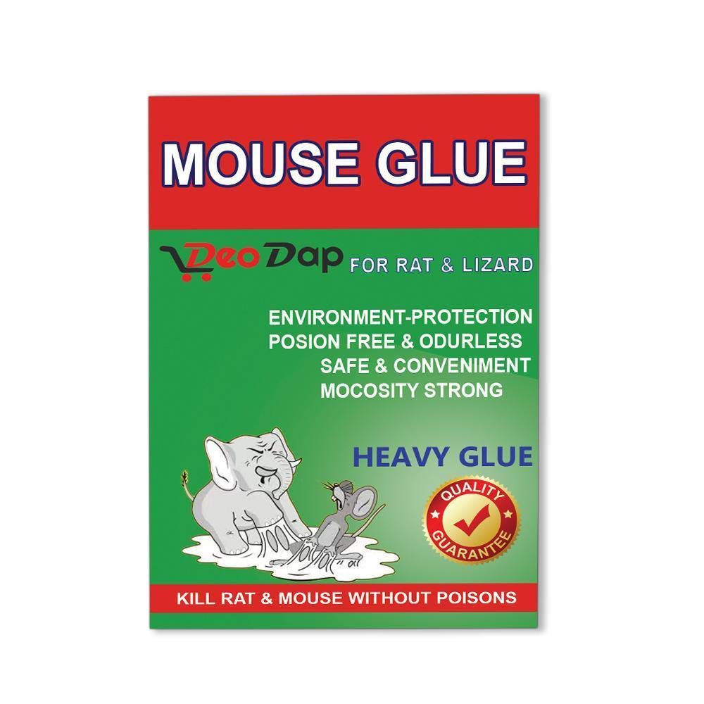 Gambit Catch Mice/Mouse/Rat Glue Traps, Mouse Insect Rodent Lizard Trap