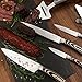La Cote 5 Piece Chef Knives Set Japanese Stainless Steel Pakka Wood Handle In Gift Box (5 PC Chef Knife Set)