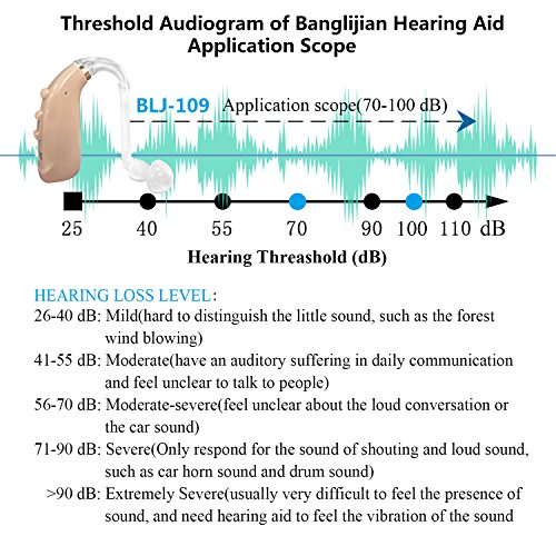 Banglijian Hearing Amplifier BLJ-109 Rechargeable with Digital Noise Cancelling FDA Approved