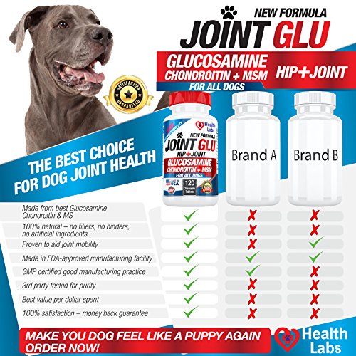 DenDen Best Strength Glucosamine Chondroitin for Dogs to Extend Hip and