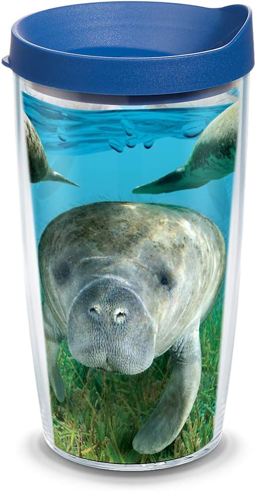 TervisTervis Made in USA Double Walled Manatee Insulated Tumbler Cup Keeps Drinks Cold & Hot, 16oz, Clear