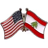 3 National Country Flag USA Friendship Flag Lapel Pins Pack of 3 International & American Double Flag Pin Badge