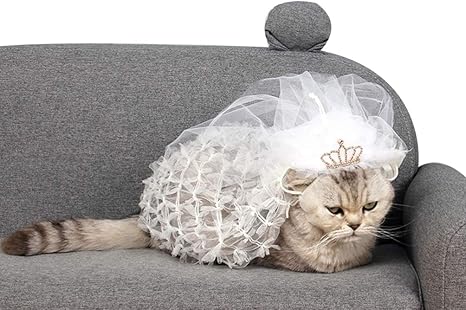 Balacoo Voile De Mariage Animal De Compagnie Chien Chat Mariee Costume Chat Cheveux Arc Clips En Epingle A Cheveux Animal Diademe Couronne Strass Cristal Animal Costume Accessoire Amazon Fr Animalerie