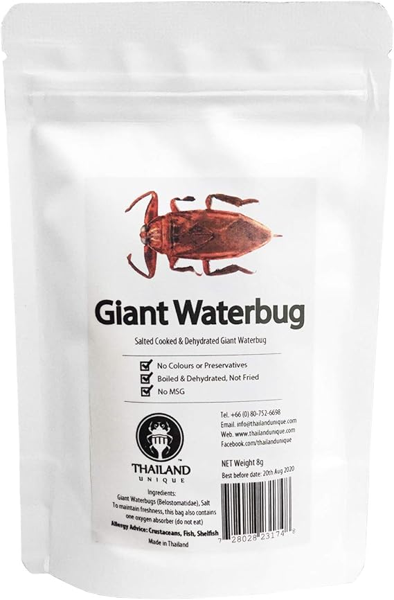 Amazon 食用 タガメ8g Giant Waterbugs 昆虫食 Jr Unique Foods おつまみ 珍味 通販
