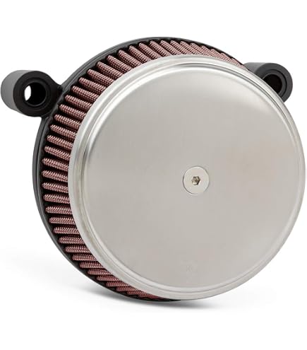 アレンネス 50 Amazon.com: Arlen Ness 50-330 Big Sucker Stage I Air Filter Kit
