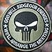 Velcro Camo Green Punisher ODA Navy Patch 3.5 Inches