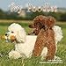 Poodles Calendar - 2017 Wall Calendars - Calendar 2016 - Dog Breed Calendars - Monthly Wall Calendar - Toy Poodles Calendar by Magnum