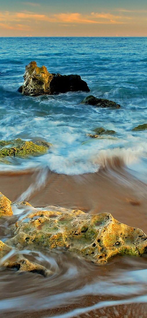 PeelitStickit, Beautiful Nature Wall Murals, ID-3287, vinyl, Multi-colour