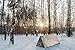 SURVIVOR X Emergency Shelter Tube Tent - Paracord 550 (Military Grade) Suspension - Super Lightweight Space Blanket Material to Reflect & Retain 99% Body Heat - Integral Part of a Zombie Survival Kit