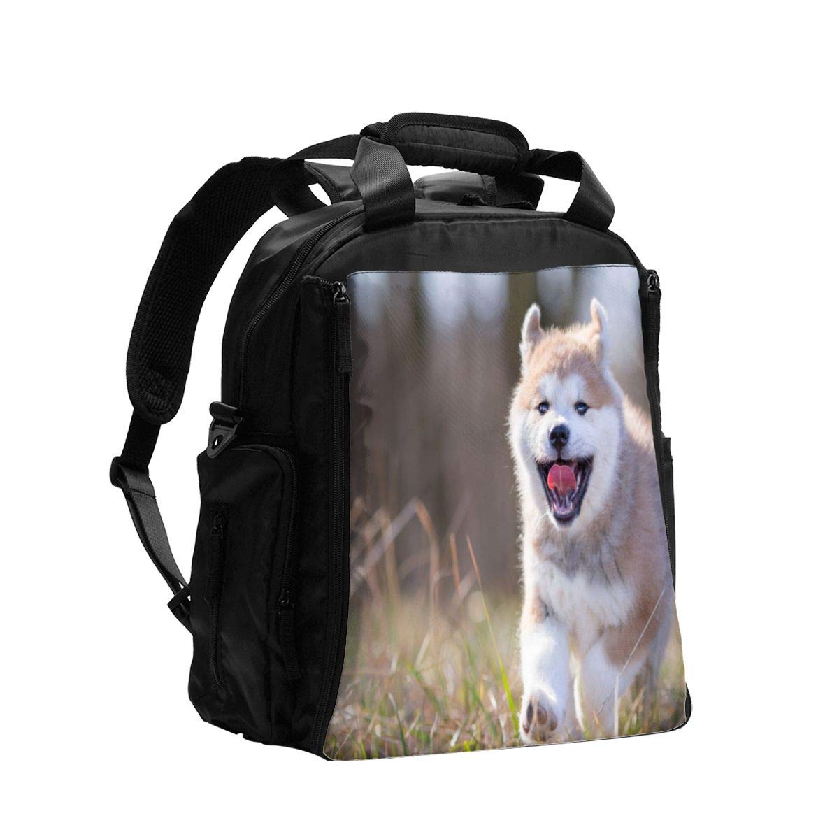 dog travel diaper bag