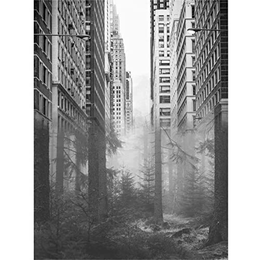 Wee Blue Coo Forest City Urban Skyscrapers Trees Combined Photograph Canvas Art Print