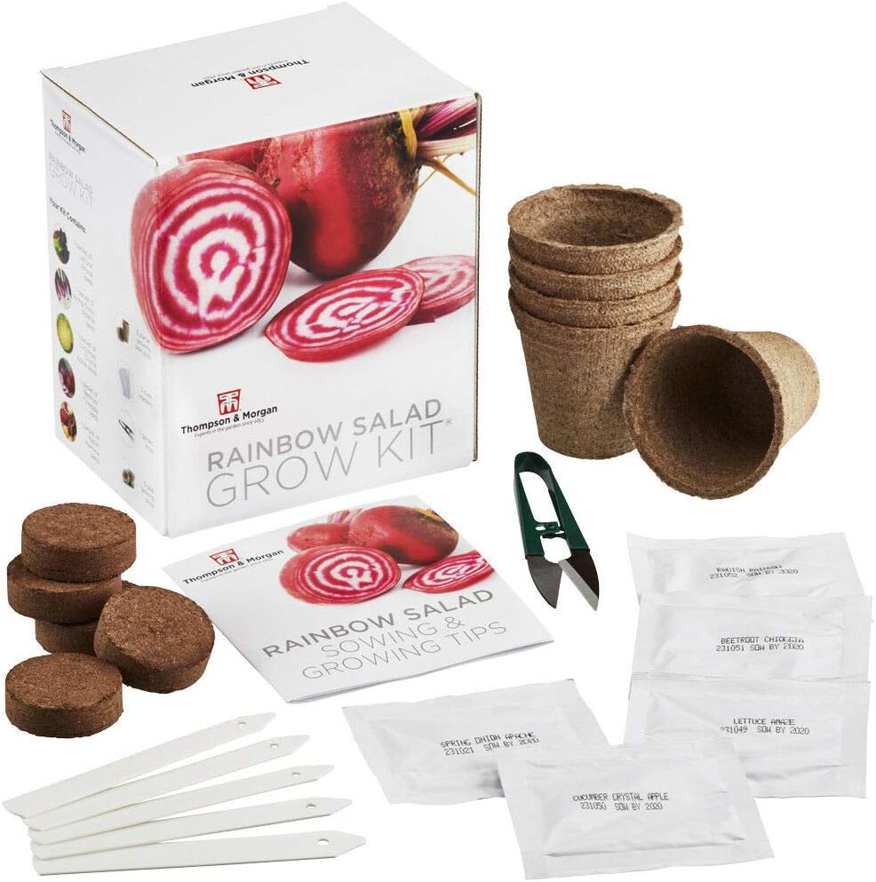 Rainbow Salad Seed Growing Kit Grow Your Own Five Colourful Varieties of Salad to Grow; Lettuce, Spring Onion, Radish - Image 5