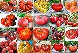 PLEASE READ! THIS IS A MIX!!! 30+ ORGANICALLY GROWN GIANT Tomato Seeds, Mix of 22 Varieties, Heirloom NON-GMO, Brandywine Black, Red, Yellow & Pink, Mr. Stripey, Old German, Black Krim, From USA