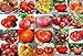 Please Read! This is A Mix!!! 30+ ORGANICALLY Grown Giant Tomato Seeds, Mix of 22 Varieties, Heirloom Non-GMO, Brandywine Black, Red, Yellow & Pink, Mr. Stripey, Old German, Black Krim, from USA