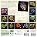 Pollen Seeds Fruit 2017 Calendar: The Weird & Wonderful Microscopic World of Plants