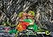 EDELRID Fraggle II Children's Full Body Climbing Harness - Oasis/Icemint 2X-Small