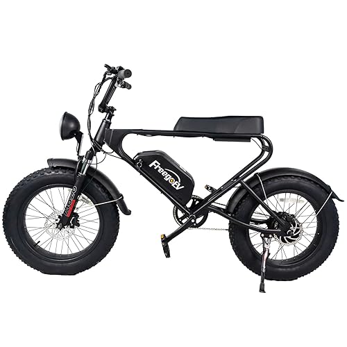 FREEGO 20'' Fat Tires 1200W Electric Bike, DK200 Electric Bike for