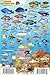 Cozumel Reef Creatures Guide Franko Maps Laminated Fish Card 4