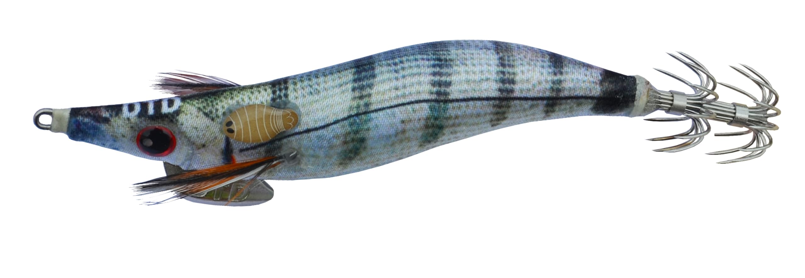 Td SQUID JIG DTD REAL FISH OITA - 10CM - Sargo, 01, 10, 3.5, 4