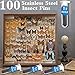 Stainless Steel Insect Pins 100Pins Size #2