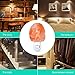 SMAGREHO Mini Hand Carved Natural Crystal Himalayan Salt Lamp Night Light with UL-Approved Wall Plug (Original Stone)