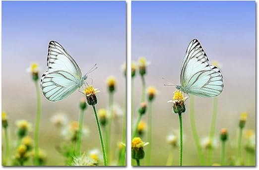 Cotizacion De Casa De Familia De Mariposa En Negro Blanco Gris