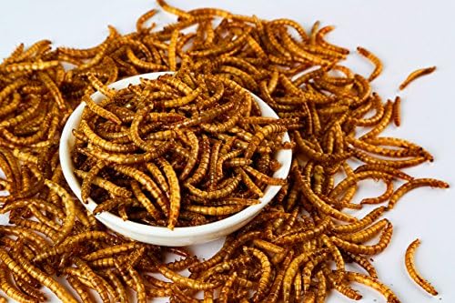10 OZ Natural Dried Mealworms for Wild Birds, Chicken, Duck, etc