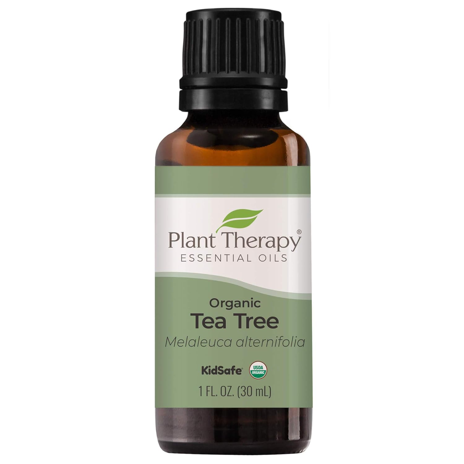 Amazon Com Plant Therapy Organic Tea Tree Oil Melaleuca 100 Pure Usda Certified Organic Undiluted Natural Aromatherapy Therapeutic Grade 30 Ml 1 Oz Home Kitchen