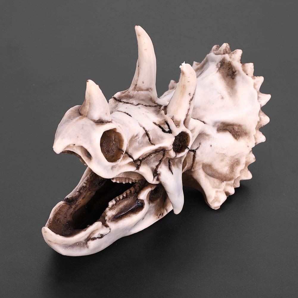 Raguso Resin Dinosaur Triceratops Skull Model,Dinosaur Tooth Skull Simulated Skeleton for Home Office Display Decorative Craft Educational Toys Gifts