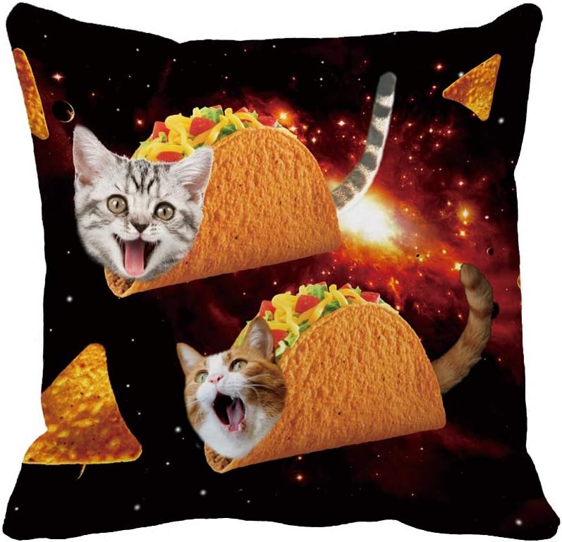 cat taco bed