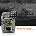 Trail Game Camera-ENKLOV Wildlife Hunting Camera with Infrared Night Vision,26pcs 940nm IR LEDs,2.4inch LCD Screen,IP66 Waterproof