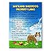 Shetland Sheepdog Property Laws Fridge Magnet No 1 Funny