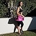 Undeniable - #1 Best Meal Prep Bag ● Premium Meal Containers ● Keeps Food Ice Cold - Perfect For Fitness and Bodybuilding Lunch Bag - 30-Day 'Thrilled Customer' 100% Guarantee …