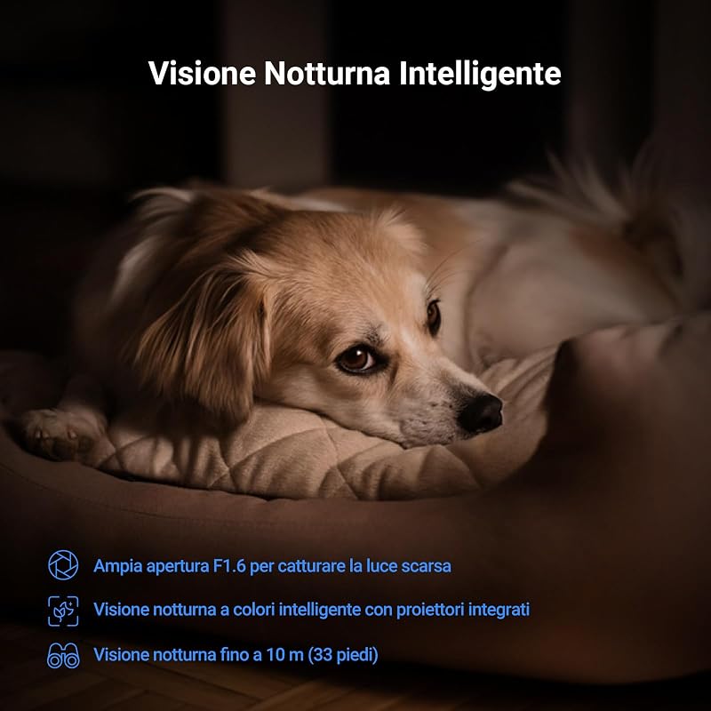 C6N G1 4K Telecamera Wi-Fi Interno, 8MP Videocamera Sorveglianza Interno Pan/Tilt/Zoom, Rilevamento di Persone/Animali/Rumore, Visione Notturna a Colori, Chiamata Bidirezionale, WiFi 2.4/5Ghz