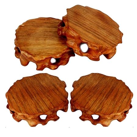 Sealive Juego de 7 multicolor redondo de plástico recipientes de ...